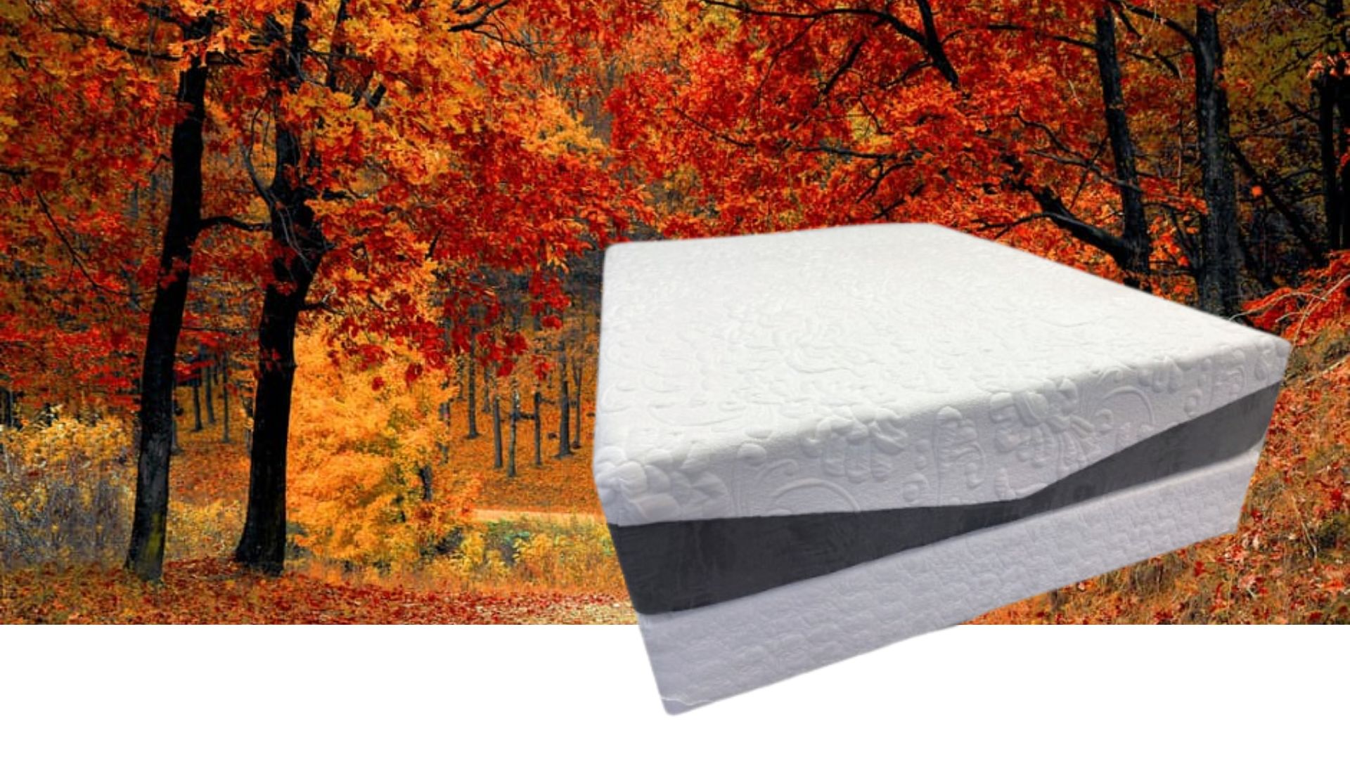 The Maple Leaf Organic Latex Mattress – Eco-Friendly, Handcrafted for Restful Sleep