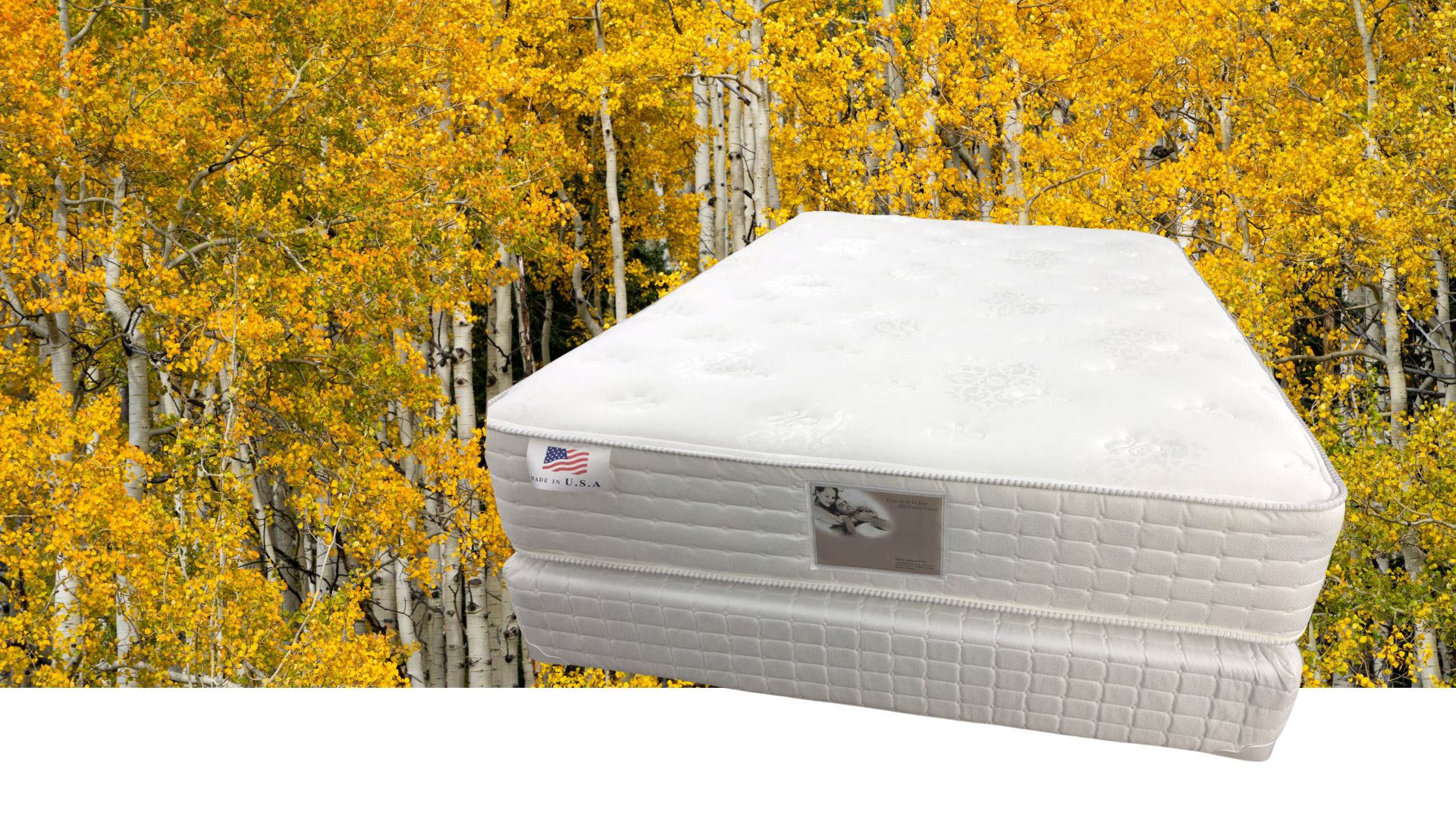 The Aspen Organic Mattress – Eco-Friendly, Handcrafted for Healthier Sleep